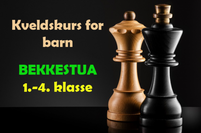 kveldskurs for barn